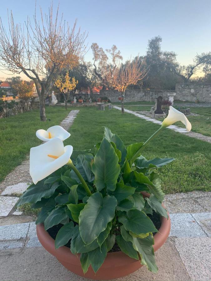 Villa Entre Encinas Moralina Kültér fotó